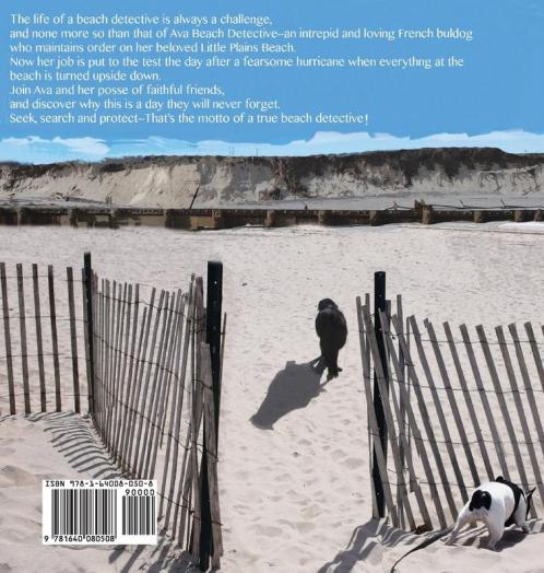 Ava Beach Detective: 2 (Ava Books)