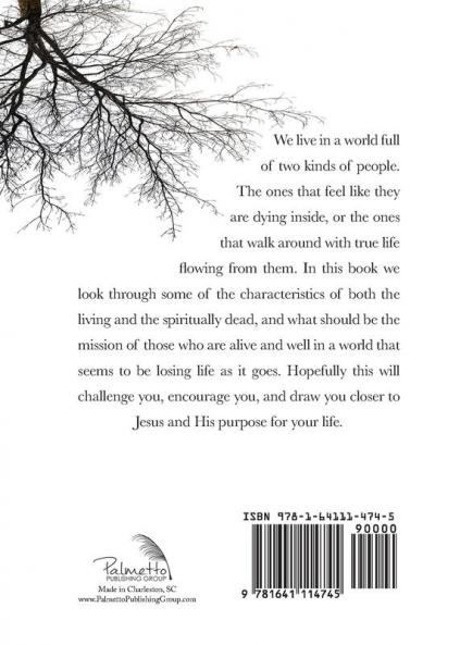 Trees Amongst Graves