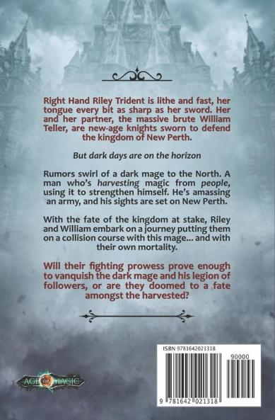 The Dark Mage: 1 (The Hand of Justice)