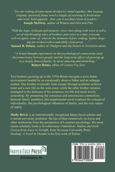 Stealing: A Novel in Dreams