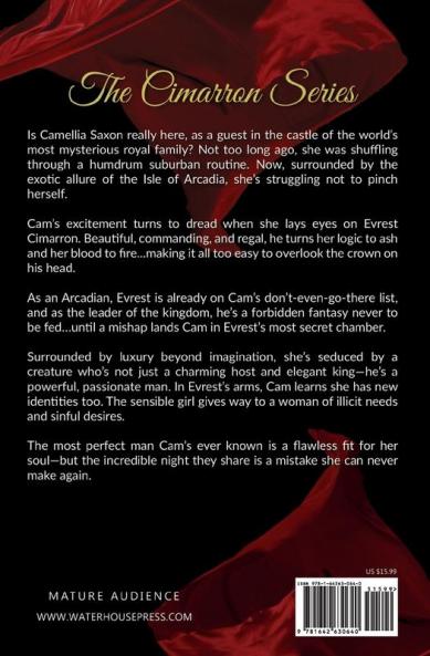 Into His Dark (Volume 1) (Cimarron Series)