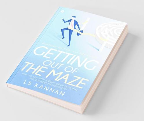 Getting Out Of The Maze : How To Win With A Right Organisational Improvement Methodology?