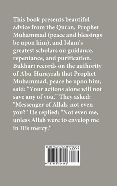Timeless Seeds of Advice