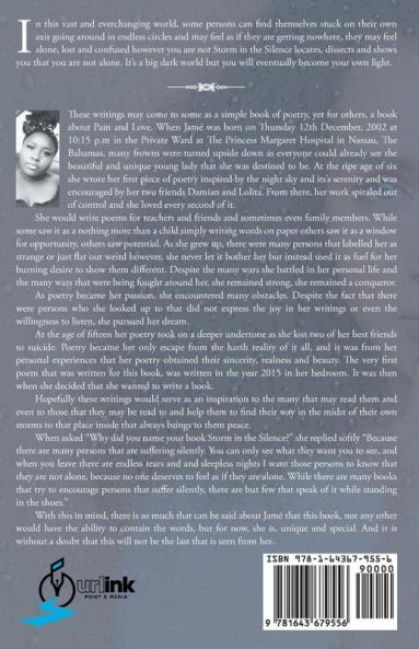 Storm in the Silence