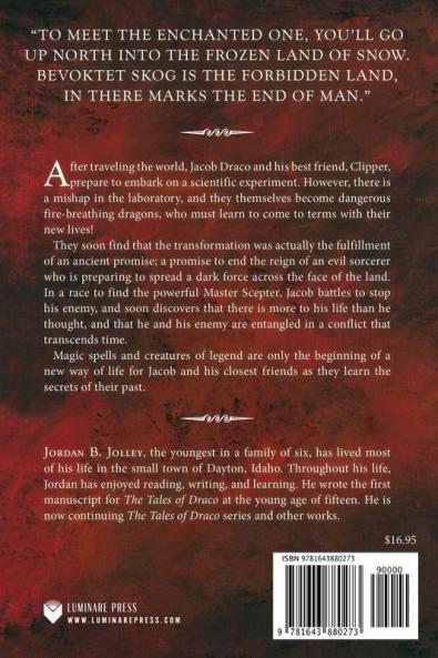 Rise of the Dragon: 1 (Tales of Draco)