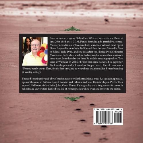 Small Paul Wall Walker