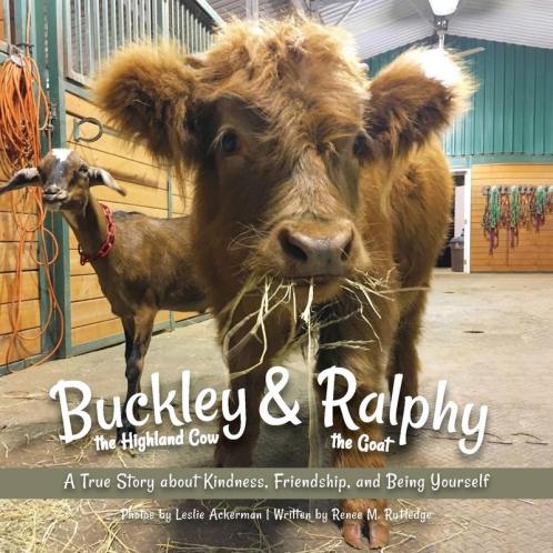 Buckley the Highland Cow and Ralphy the Goat