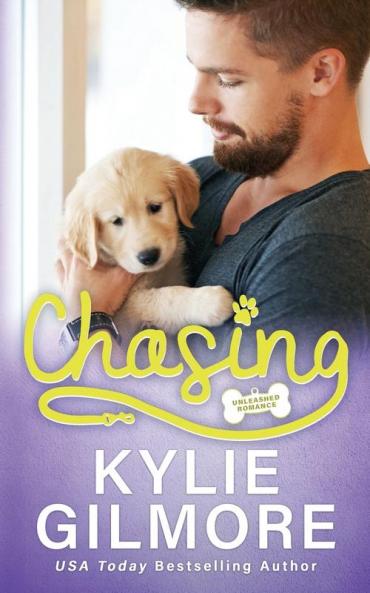 Chasing: 6 (Unleashed Romance)
