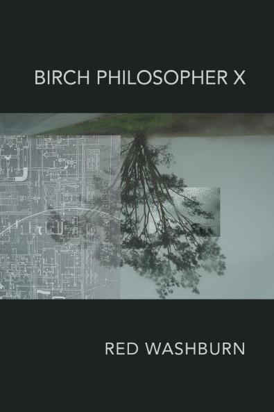 Birch Philosopher X