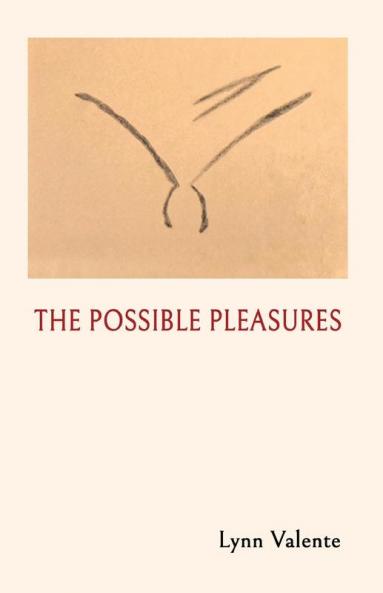 THE POSSIBLE PLEASURES