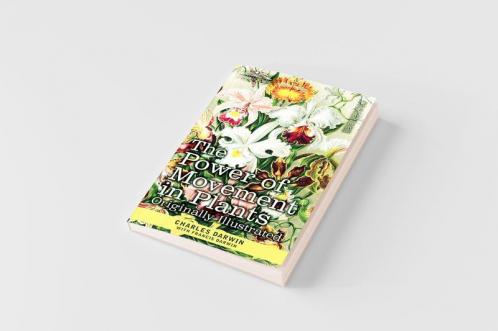 The Power of Movement in Plants