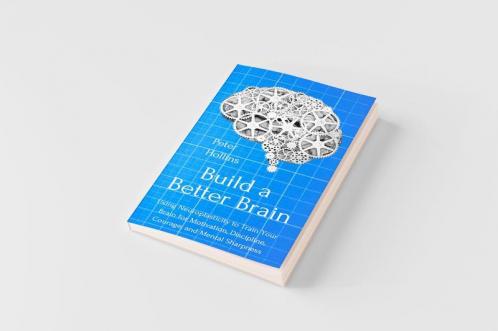 Build a Better Brain