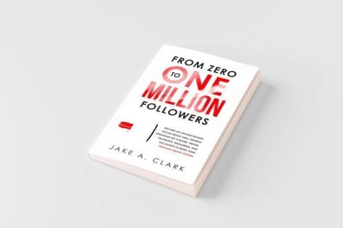 From Zero to One Million Followers