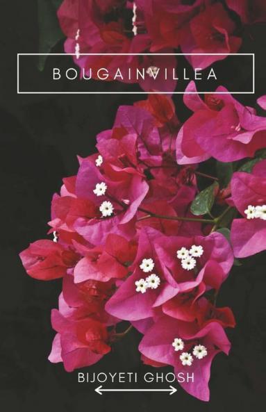 Bougainvillea: Some Scribbled Scattered Thoughts