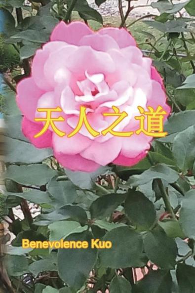 天人之道: The Way Of Universe And Human (Chinese Edition)