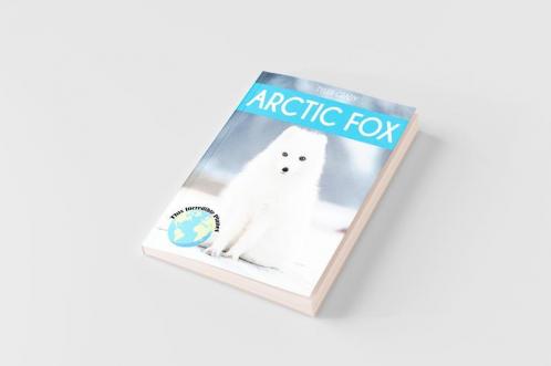 Arctic Fox
