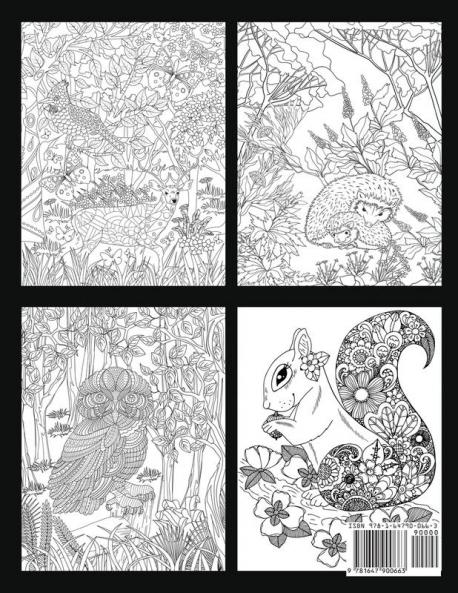 Forest Animals Coloring Book