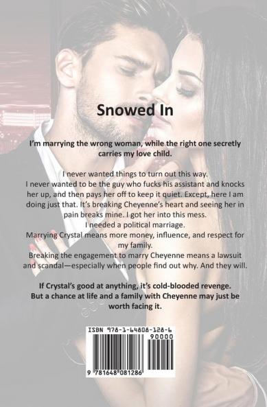 Snowed In: A Secret Baby Christmas Romance