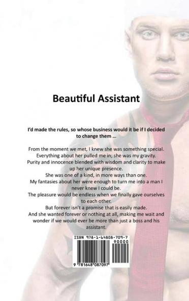 Beautiful Assistant: A Christmas Romance.: 2 (Dirty Network)