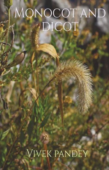 Monocot And Dicot