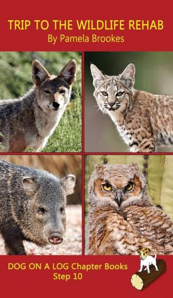 Trip To The Wildlife Rehab Chapter Book: Sound-Out Phonics Books Help Developing Readers including Students with Dyslexia Learn to Read (Step 10 in ... Books): 47 (Dog on a Log Chapter Books)