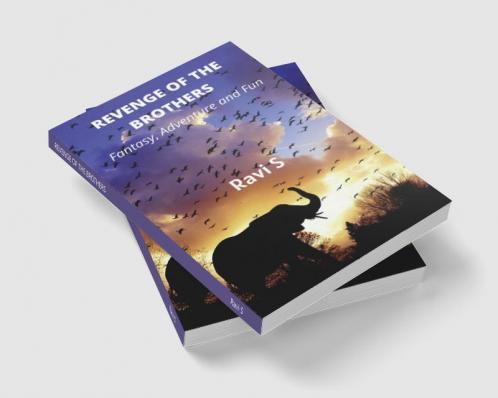 REVENGE OF THE BROTHERS : FUN FANTASY ADVENTURE