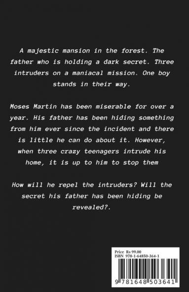 The Marvelous Mystery of Martin Mansion