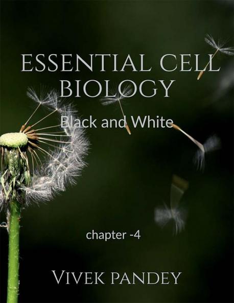 essential cell biology chapter 4 (black&white) : chapter-4