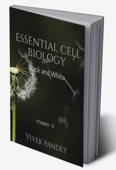 essential cell biology chapter 4 (black&white) : chapter-4