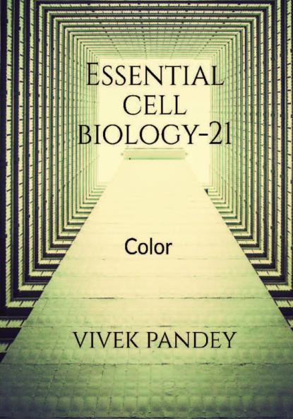 Essential cell biology-21(color)