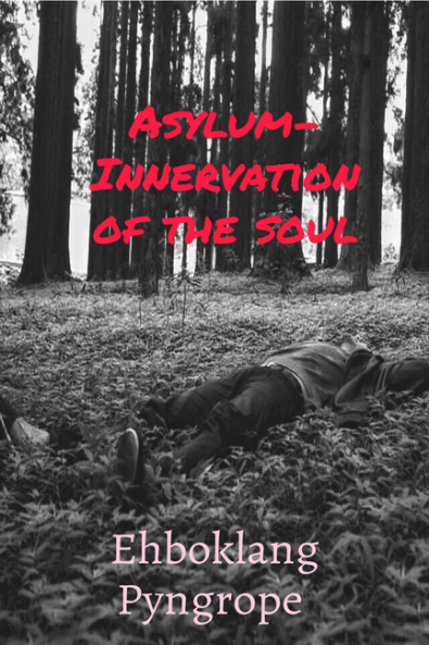 Asylum- Innervation of the soul