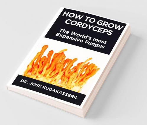 How To Grow Cordyceps The World’S Most Expensive Fungus
