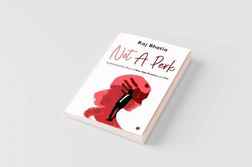 Not A Perk : An Extraordinary Story of New-Age Romance and Grit