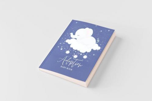 Adoption Baby Book