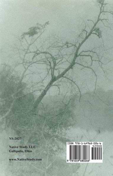 Indian Wills 1911-1921     Book One
