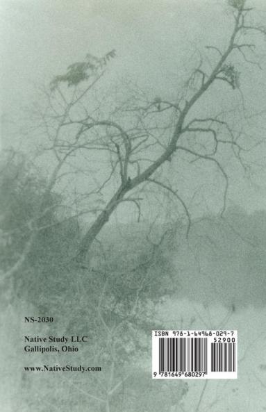 Indian Wills 1911-1921   Book Four