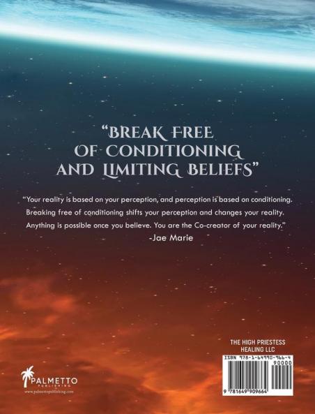 The Mystic Healer Energy Healing Journal: 21 Days To Raising Your Vibration With Manifesting Guide