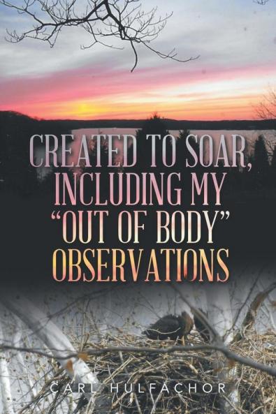 Created to Soar Including My Out of Body Observations