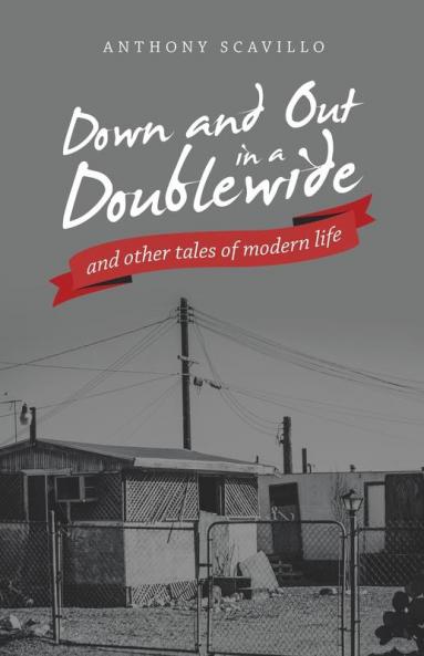 Down and out in a Doublewide and Other Tales of Modern Life