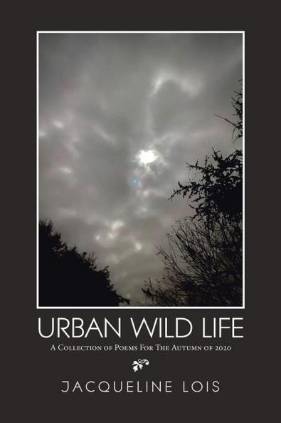 Urban  Wild   Life
