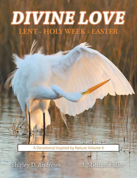 Divine Love    Lent - Holy Week - Easter