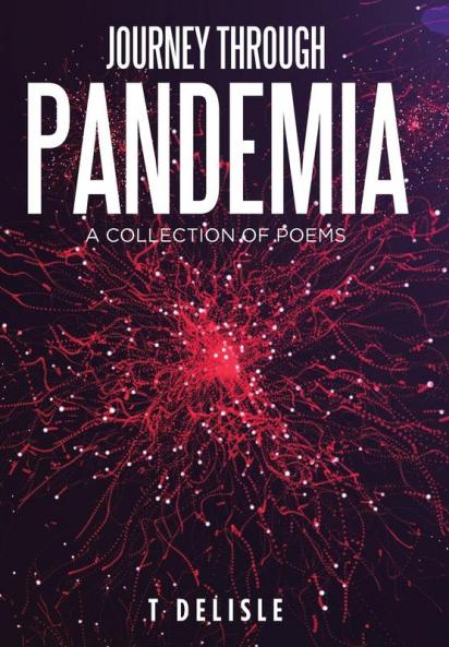 Journey Through Pandemia