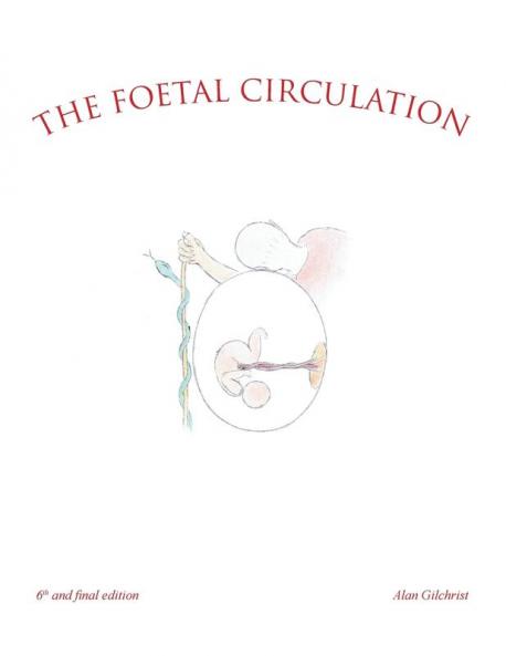 The Foetal Circulation