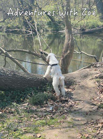 Adventures With Zoé