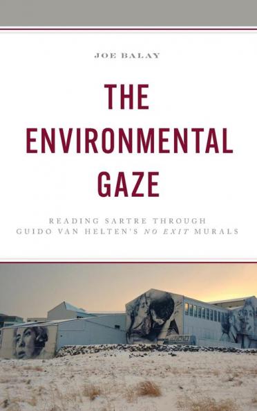 Environmental Gaze
