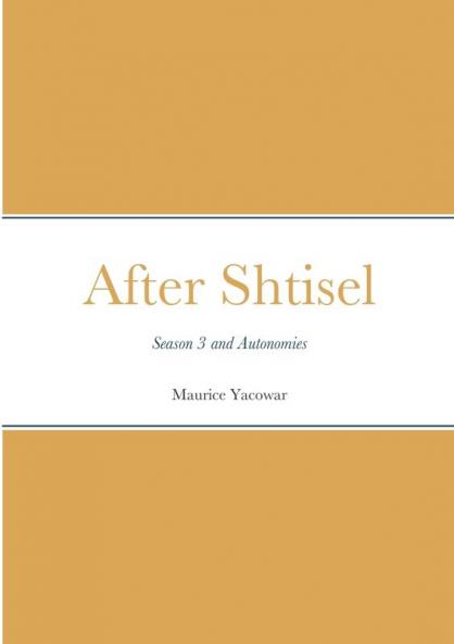 After Shtisel