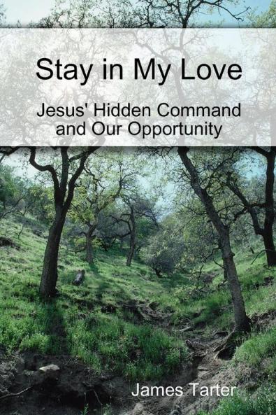Stay in My Love