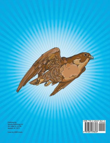 Birds Of Prey Coloring Book