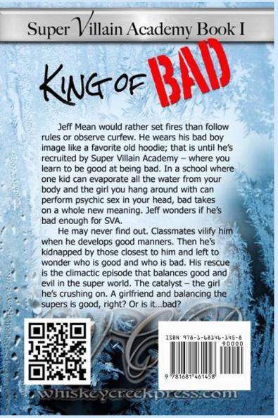 Super Villain Academy Book 1: King of Bad