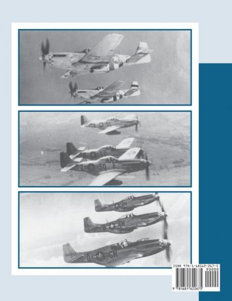 339th Fighter Group